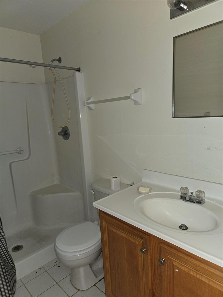 1432 THOUSAND ROSES DR S, LAKE WALES, FL, 33853