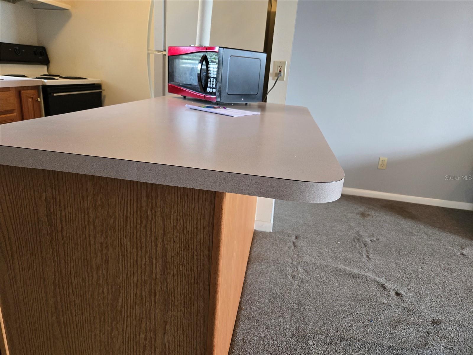 1432 THOUSAND ROSES DR S, LAKE WALES, FL, 33853