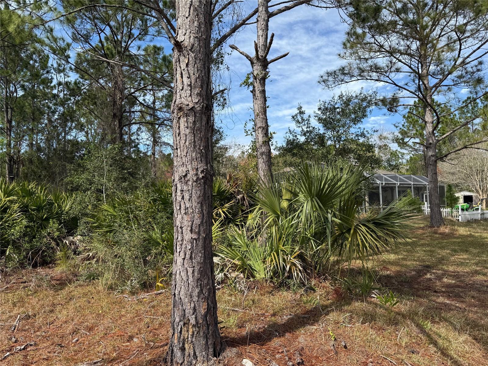 18 ULAWOOD PL, PALM COAST, FL, 32164