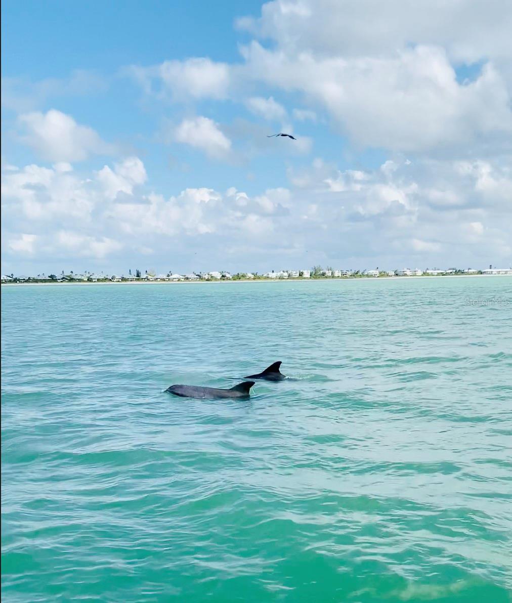 228 CENTER RD, VENICE, FL, 34285