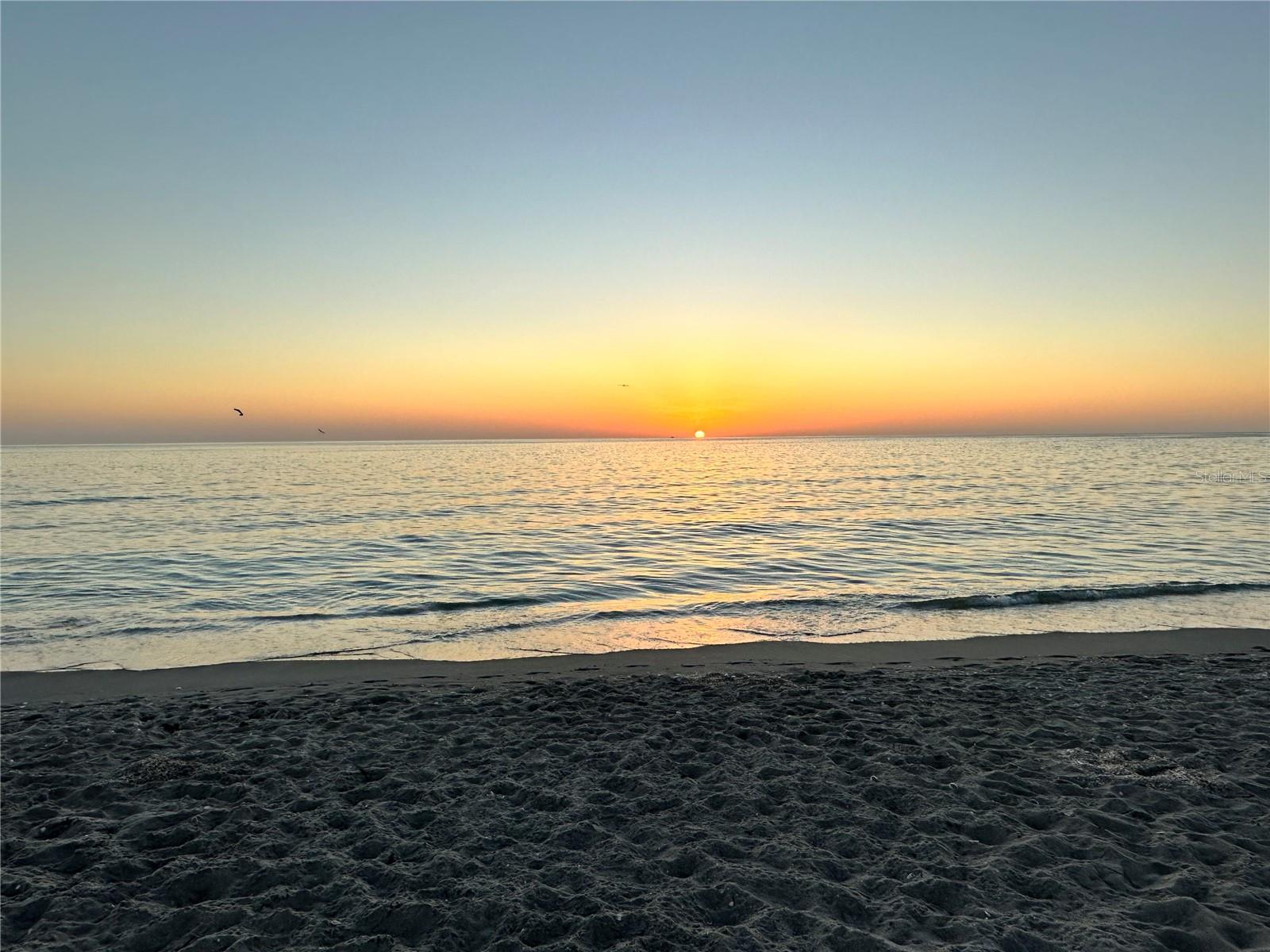 228 CENTER RD, VENICE, FL, 34285