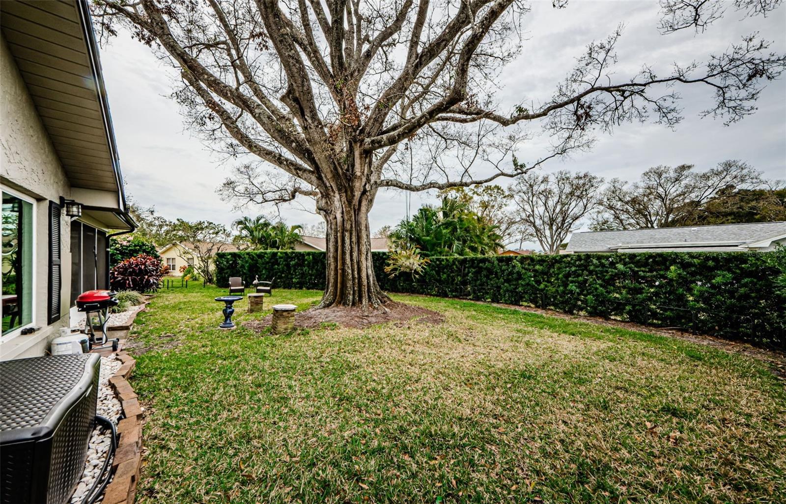 3220 BRAEMAR TER, PALM HARBOR, FL, 34684