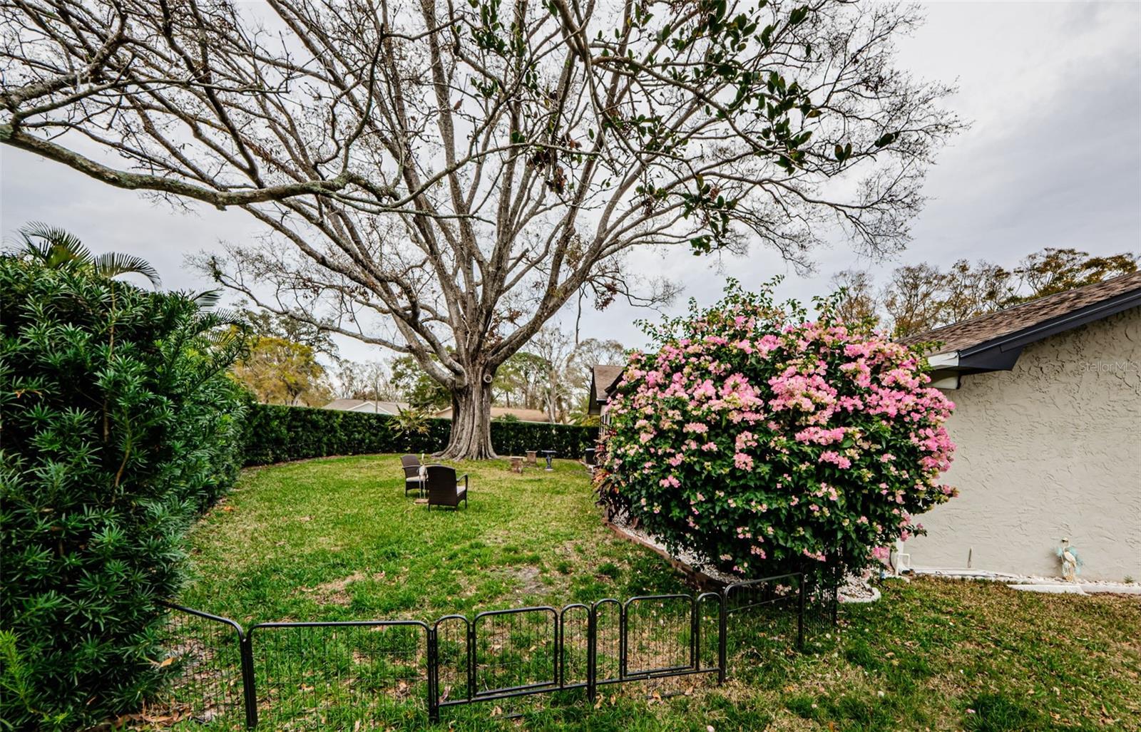 3220 BRAEMAR TER, PALM HARBOR, FL, 34684