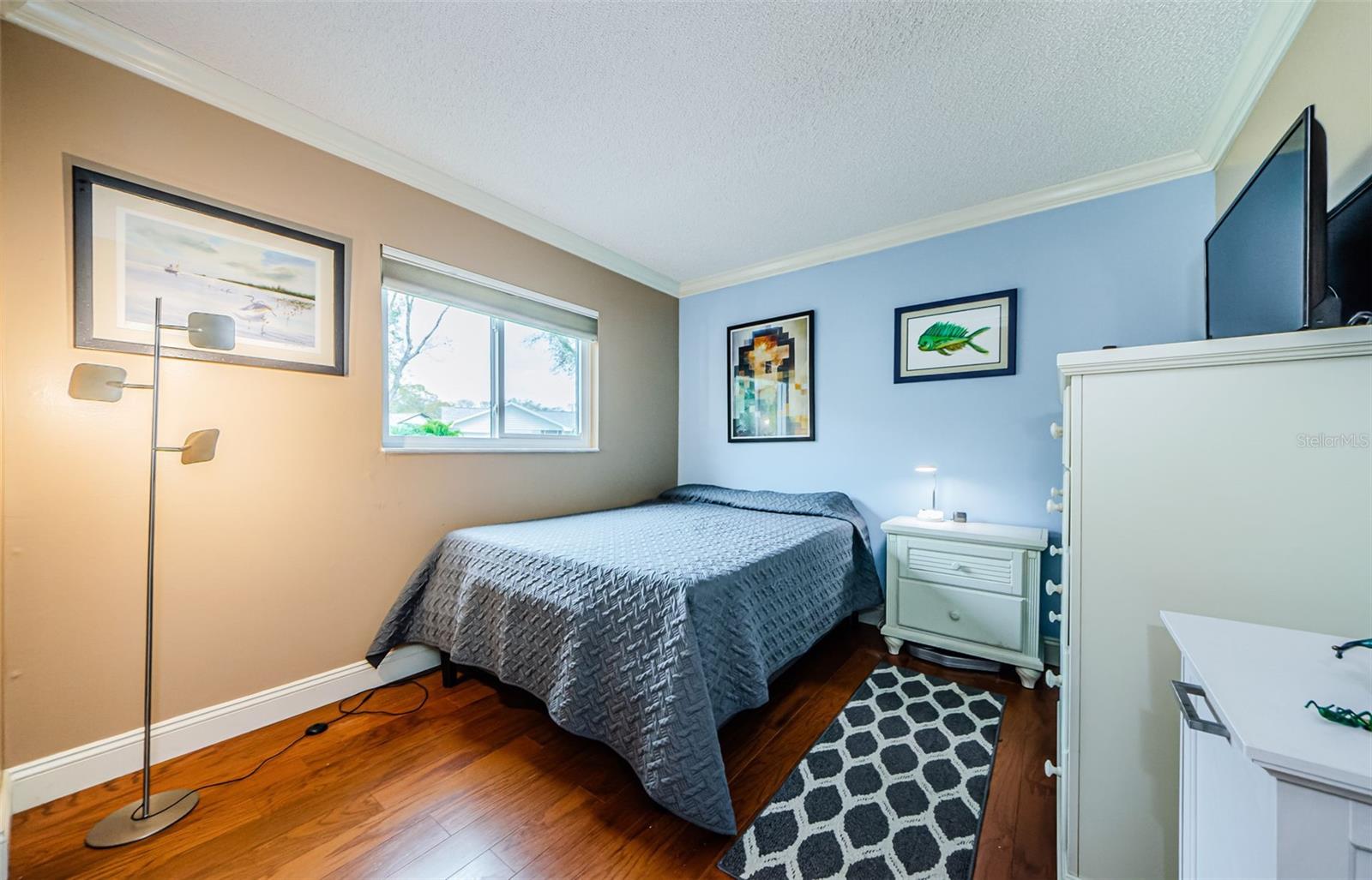 3220 BRAEMAR TER, PALM HARBOR, FL, 34684