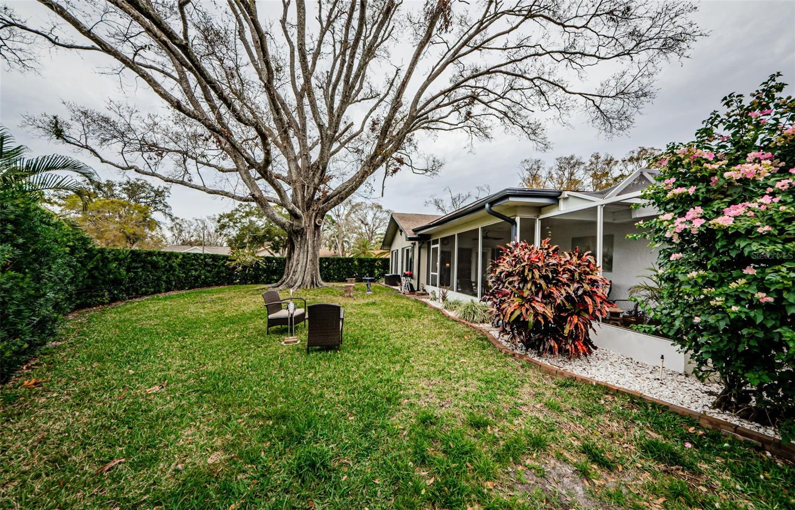 3220 BRAEMAR TER, PALM HARBOR, FL, 34684