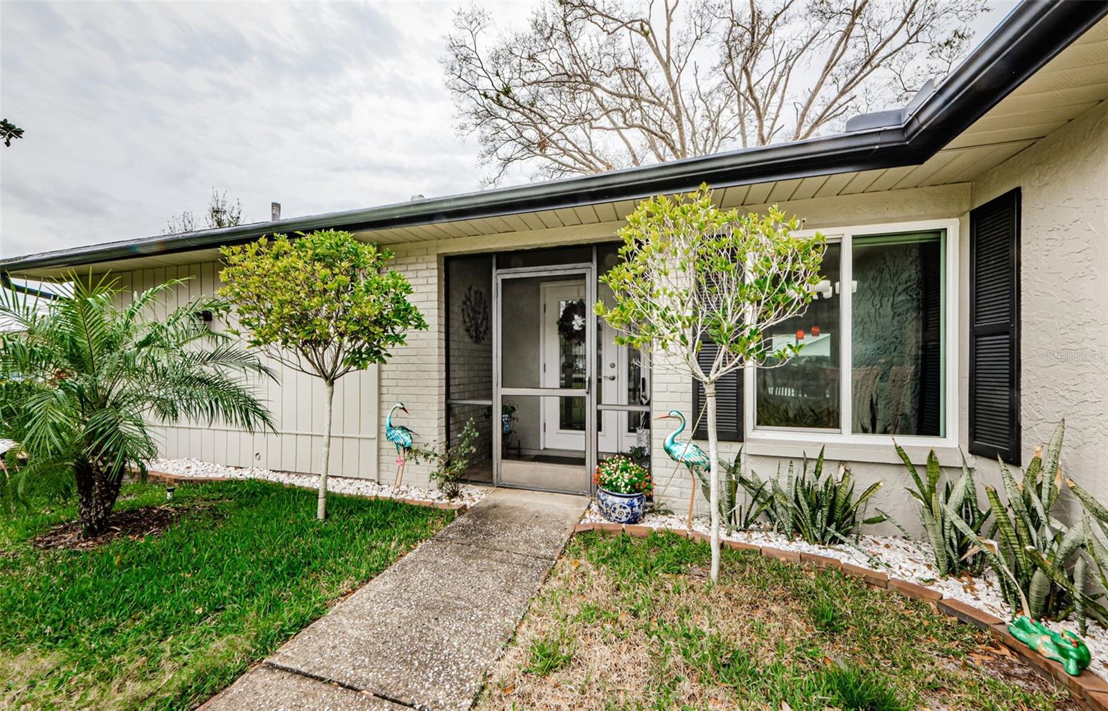 3220 BRAEMAR TER, PALM HARBOR, FL, 34684