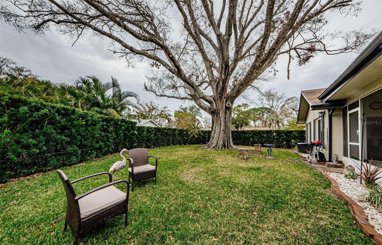 3220 BRAEMAR TER, PALM HARBOR, FL, 34684