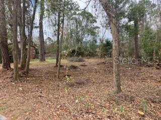 SW MCFARLANE AVE, LAKE CITY, FL, 32025