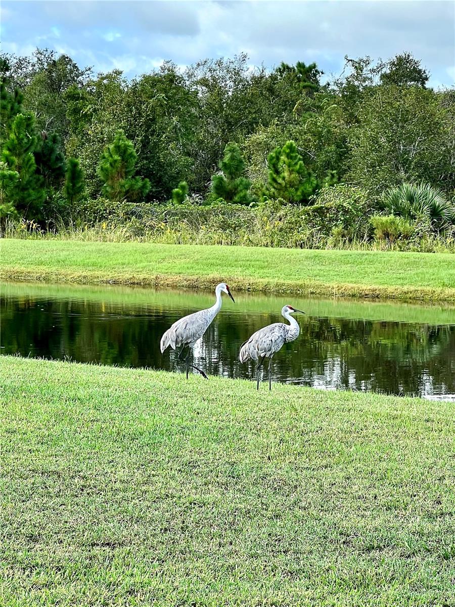 304 SUMMER PLACE LOOP, CLERMONT, FL, 34714