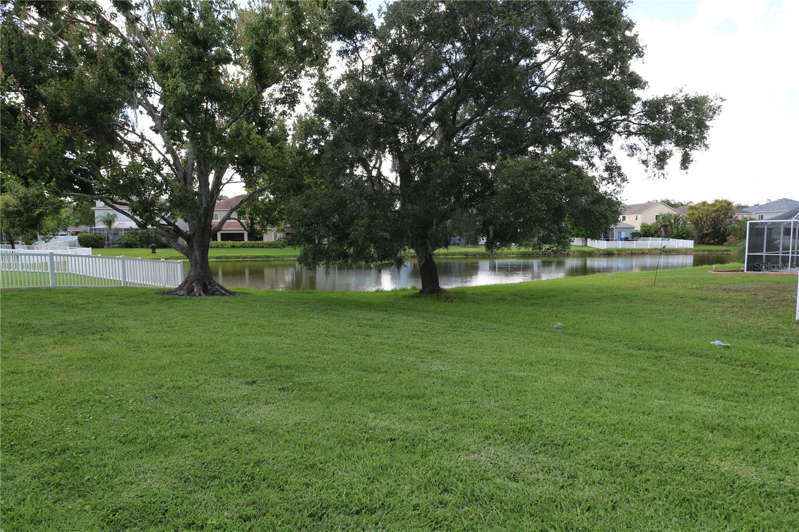 4115 HARBOR LAKE DR, LUTZ, FL, 33558