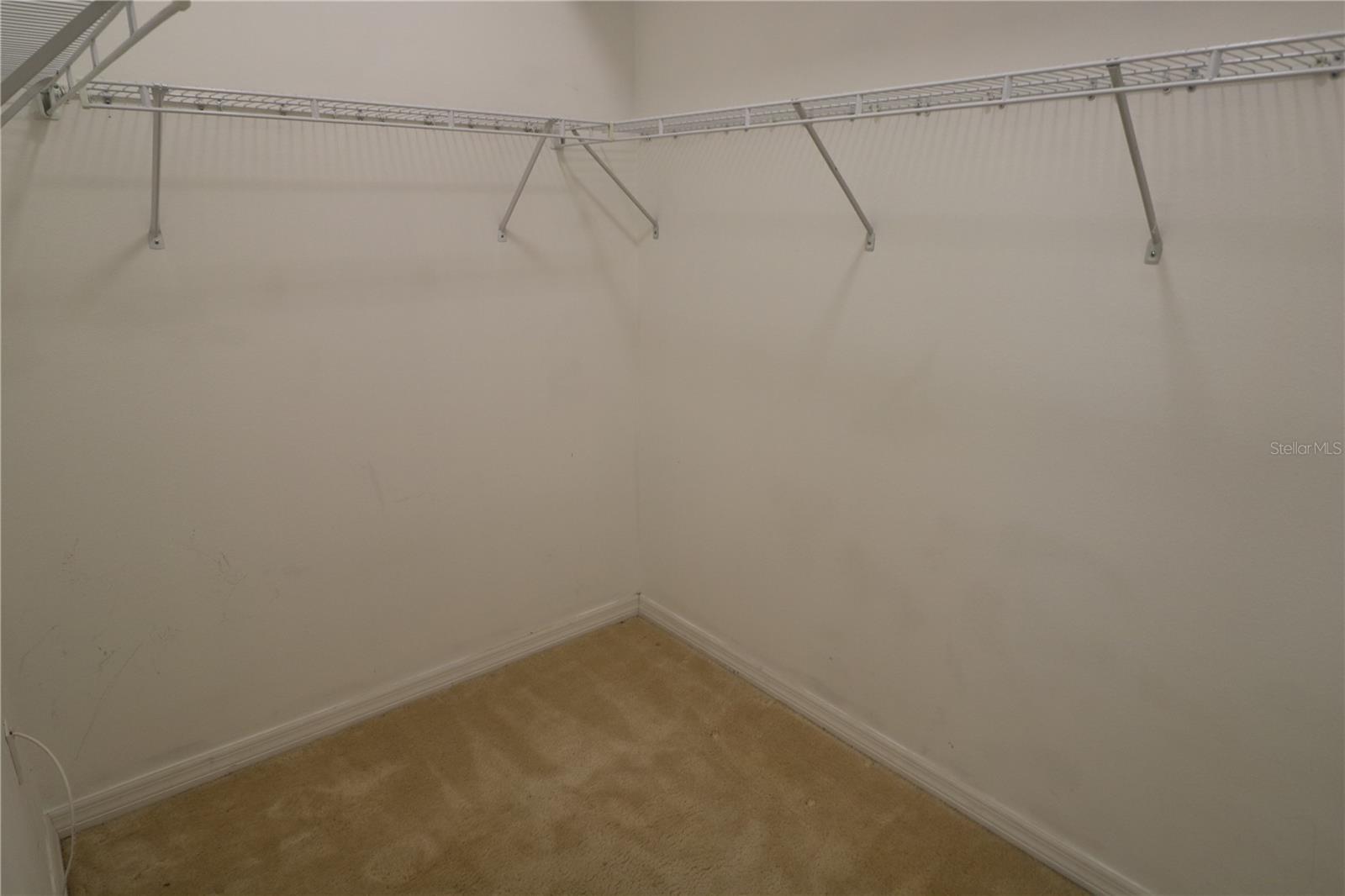 4115 HARBOR LAKE DR, LUTZ, FL, 33558