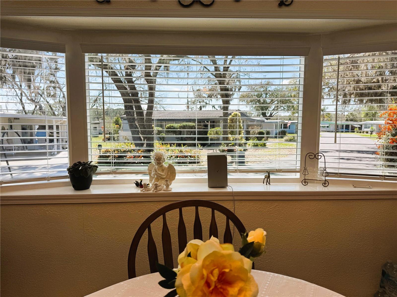 207 JACARANDA DR, LEESBURG, FL, 34748