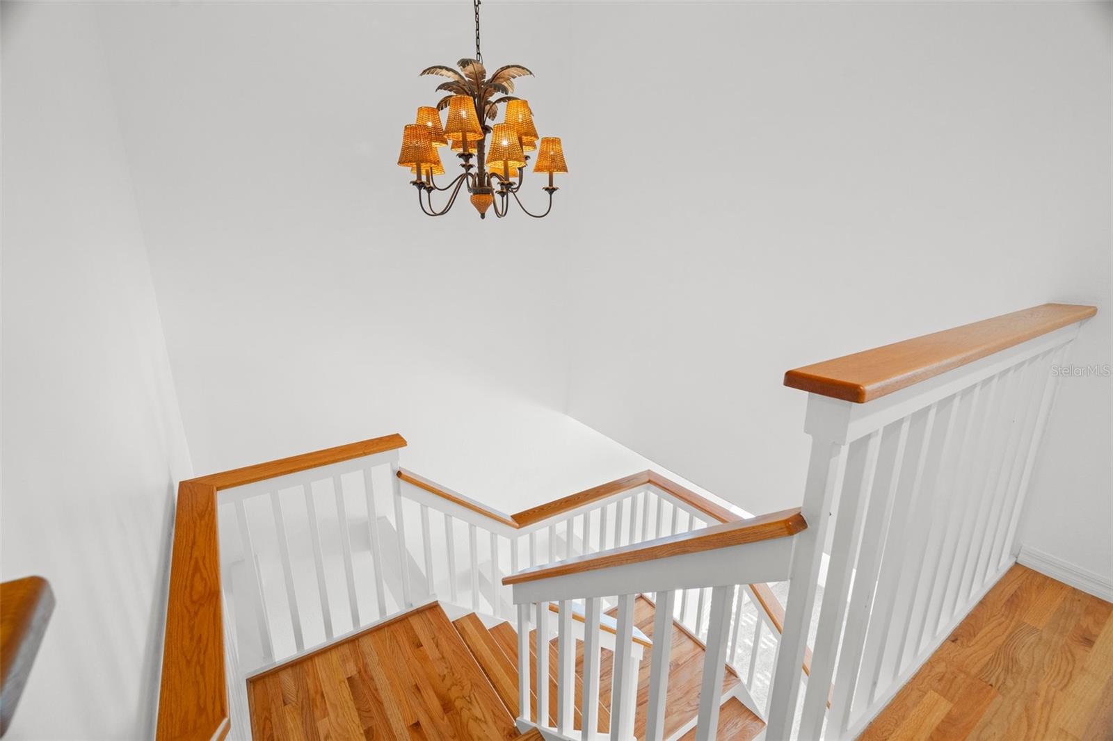 14584 EL PASEO DR, SEMINOLE, FL, 33776