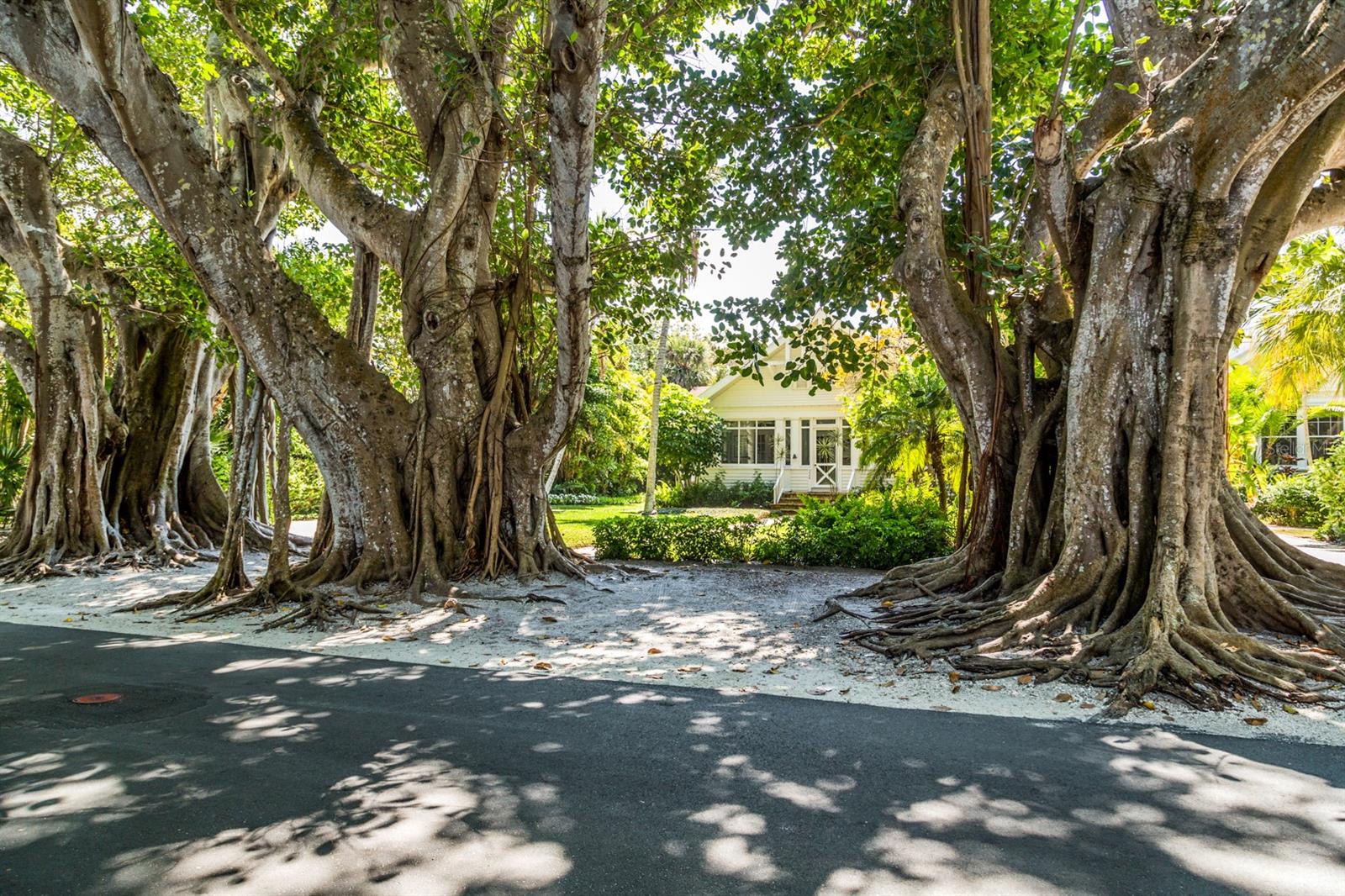 11644 SW EGRET CIR #104, LAKE SUZY, FL, 34269