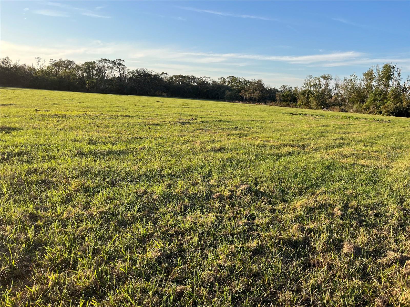 6 M-J RD., MYAKKA CITY, FL, 34251