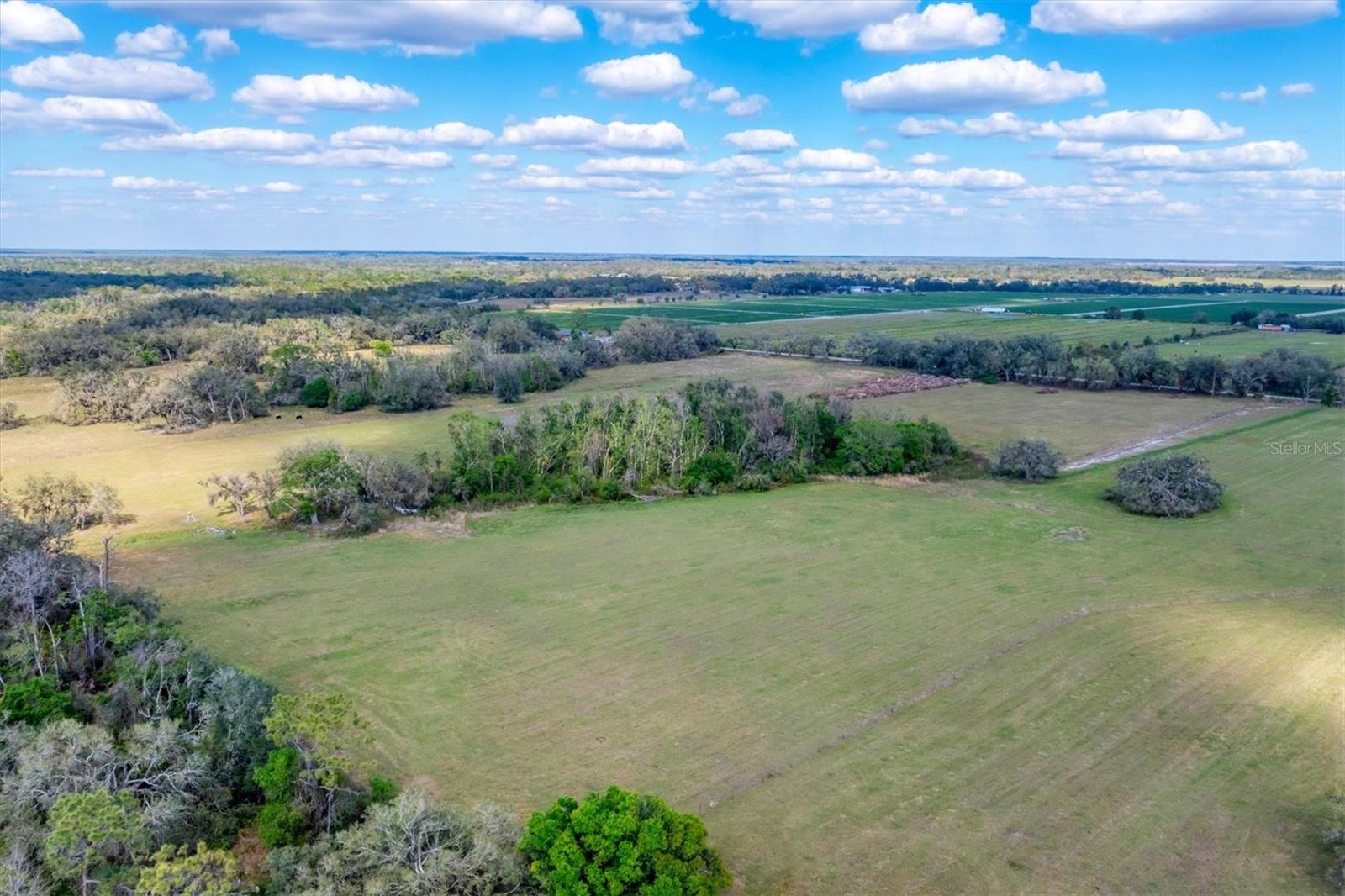 6 M-J RD., MYAKKA CITY, FL, 34251