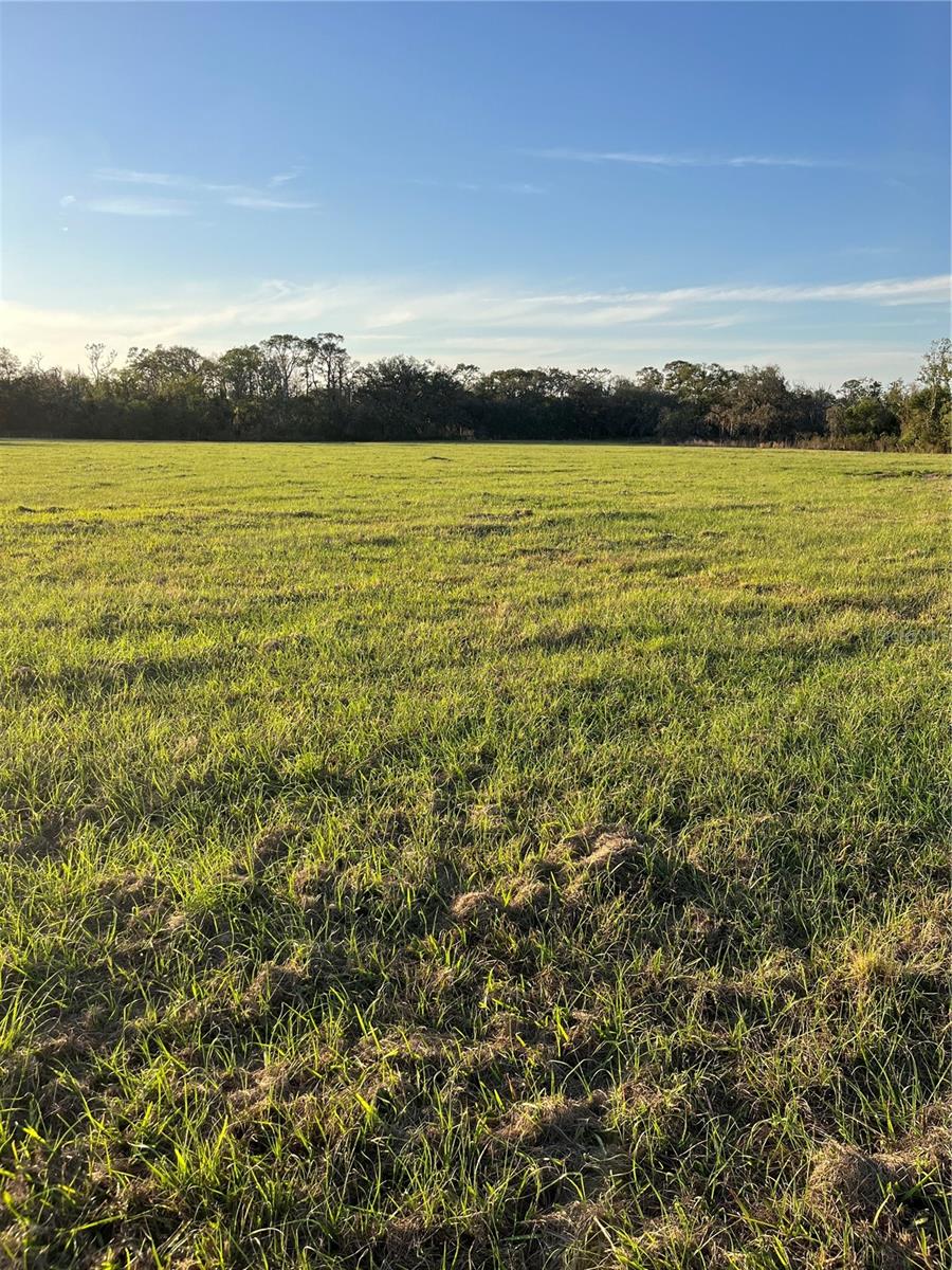6 M-J RD., MYAKKA CITY, FL, 34251