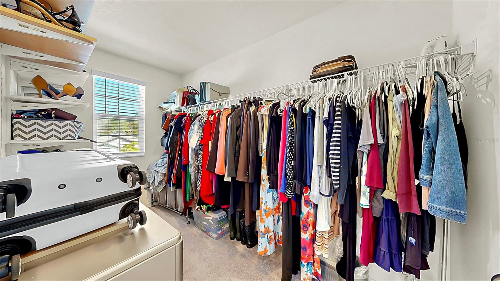 4943 WILD SENNA BLVD, TAMPA, FL, 33619