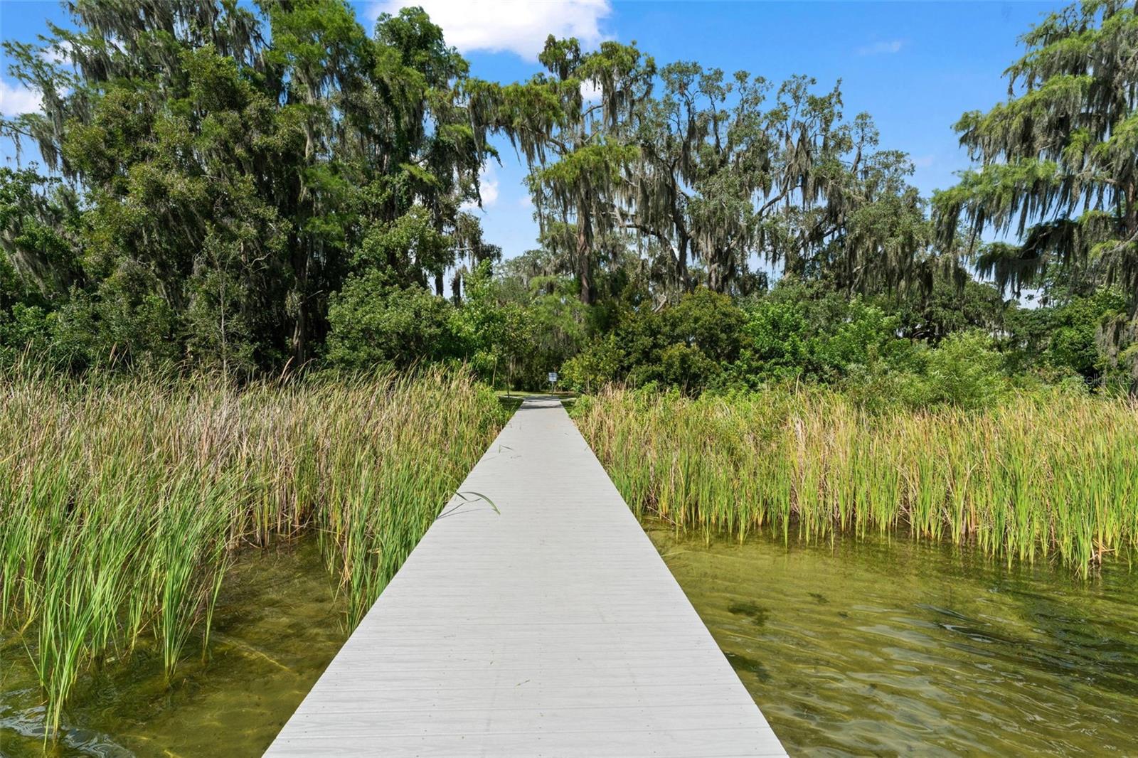 5994 SHINER ST, LAND O LAKES, FL, 34638