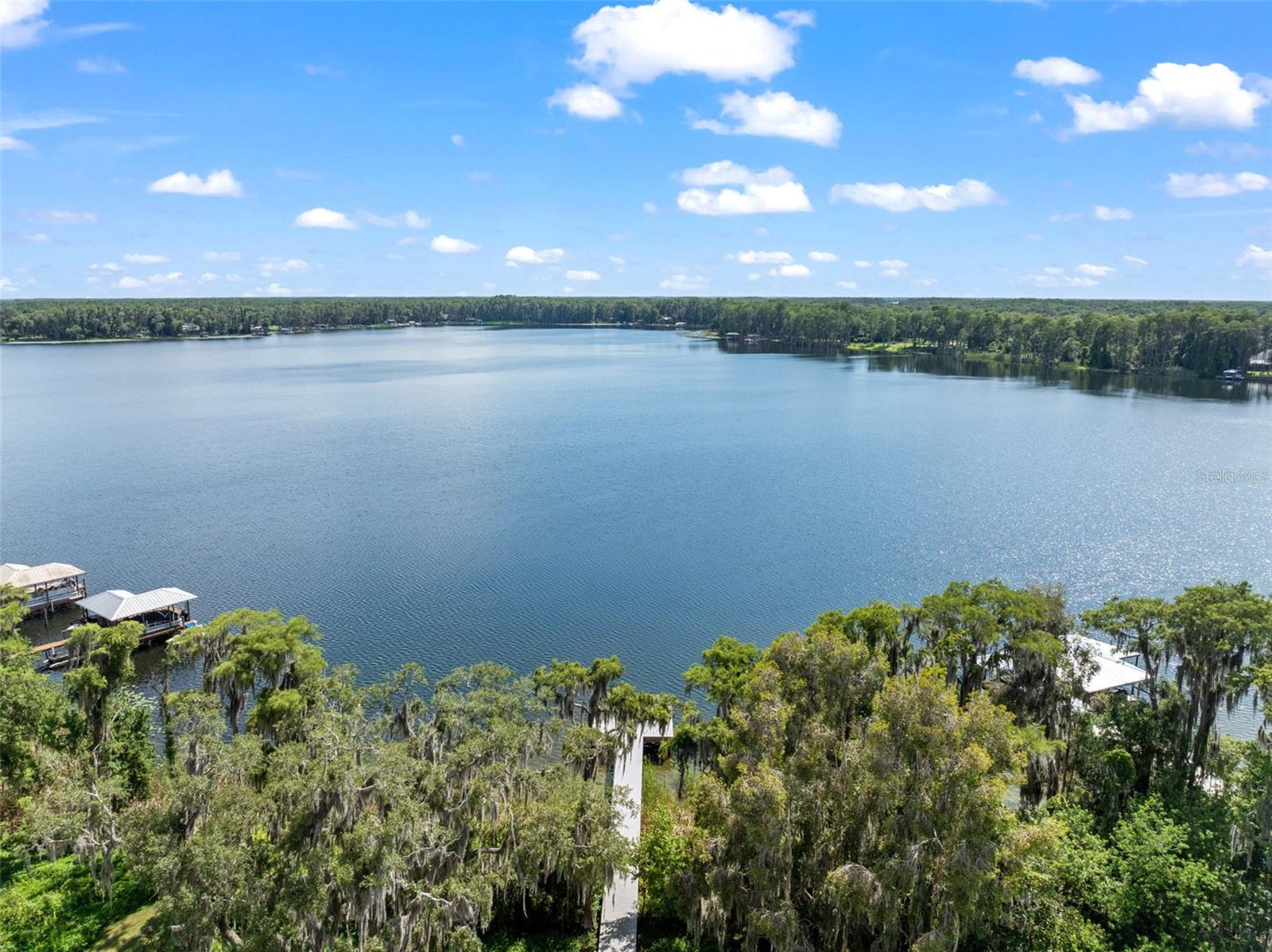 5994 SHINER ST, LAND O LAKES, FL, 34638