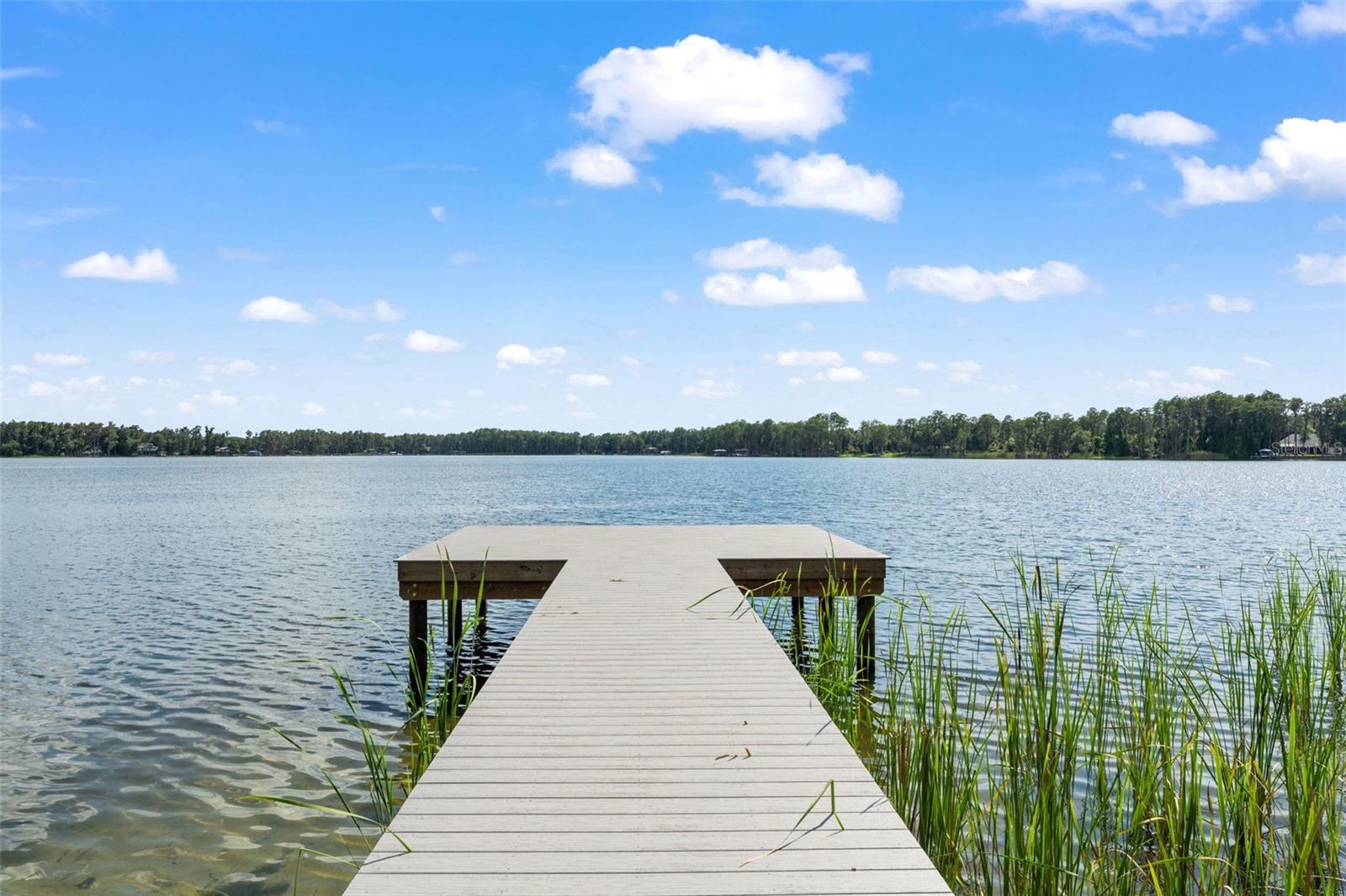 5994 SHINER ST, LAND O LAKES, FL, 34638