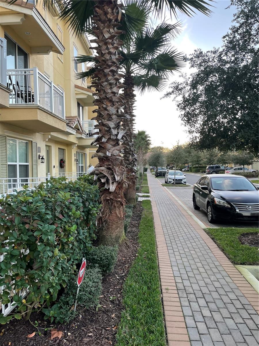 903 BRUTUS TER, LAKE MARY, FL, 32746