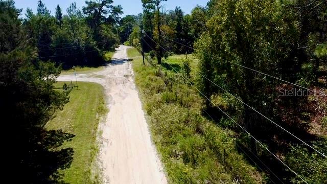 NE 110TH CT, WILLISTON, FL, 32696