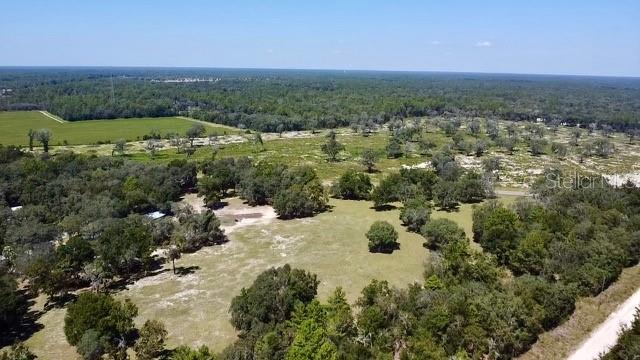 NE 110TH CT, WILLISTON, FL, 32696