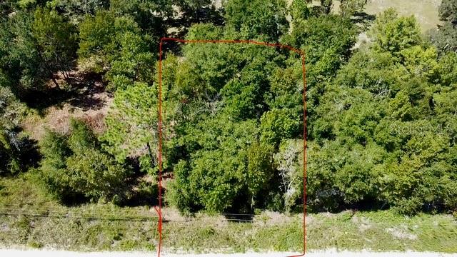 NE 110TH CT, WILLISTON, FL, 32696