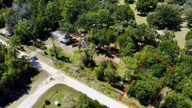 NE 110TH CT, WILLISTON, FL, 32696