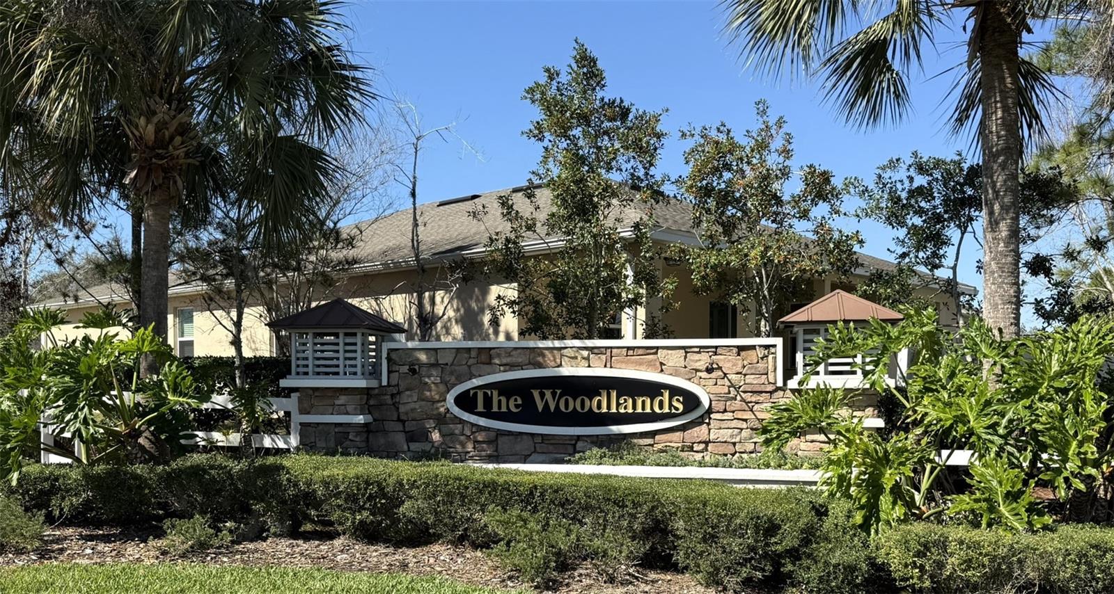 3247 MACINTOSH RD, LAND O LAKES, FL, 34639