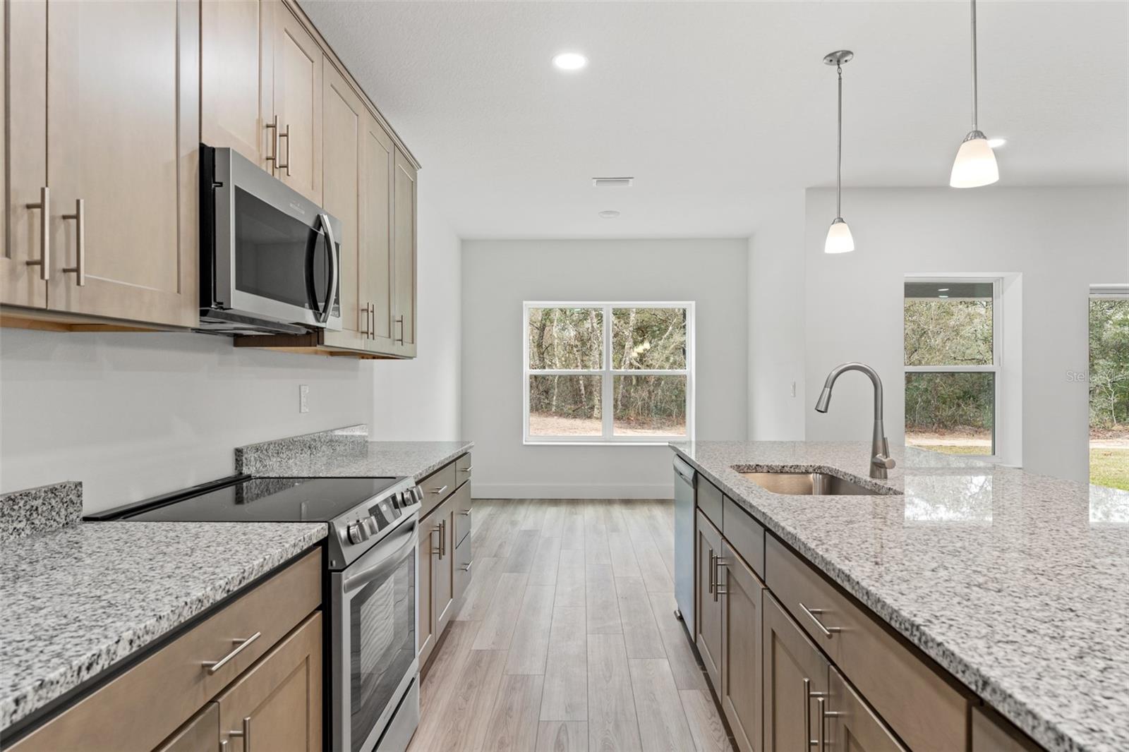 13065 TINAMOU AVE, WEEKI WACHEE, FL, 34614