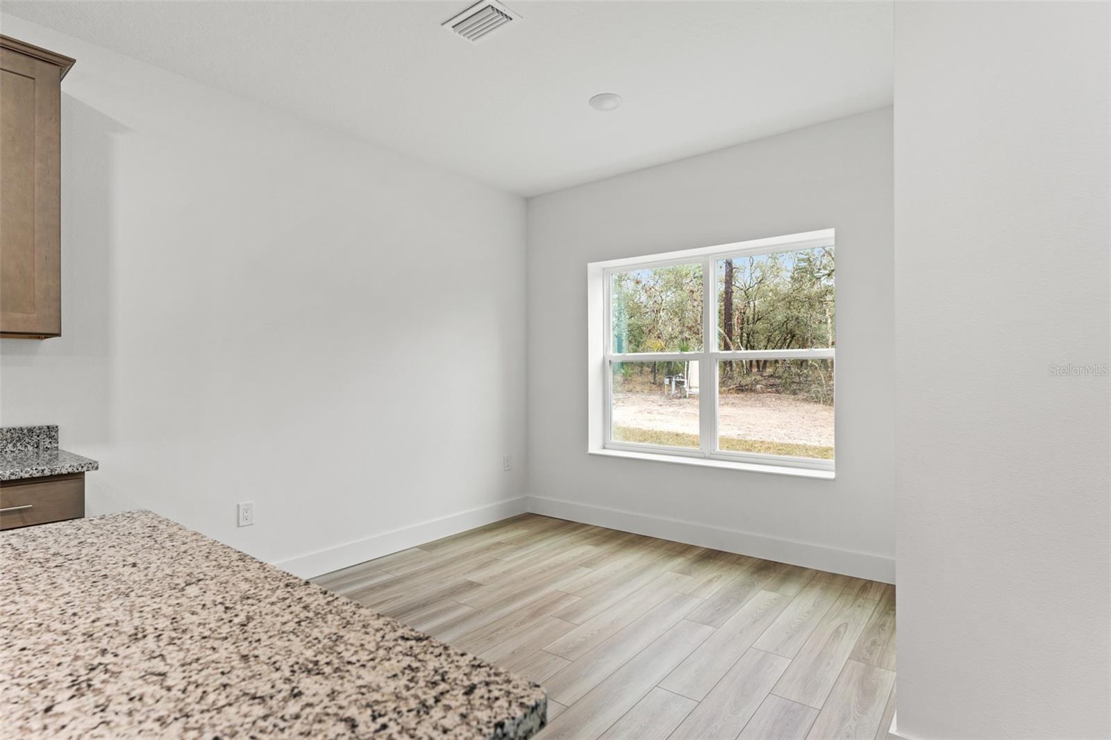 13065 TINAMOU AVE, WEEKI WACHEE, FL, 34614