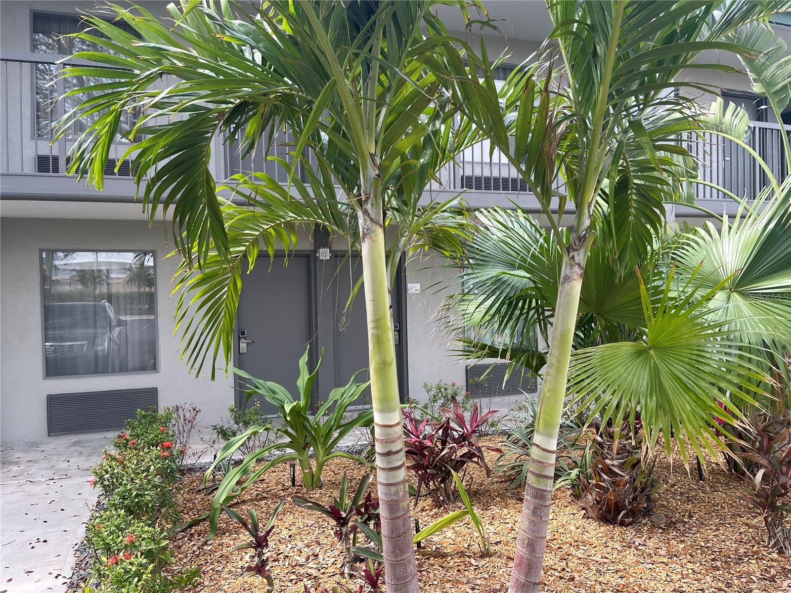 7150 N TAMIAMI TRL #S512, SARASOTA, FL, 34243