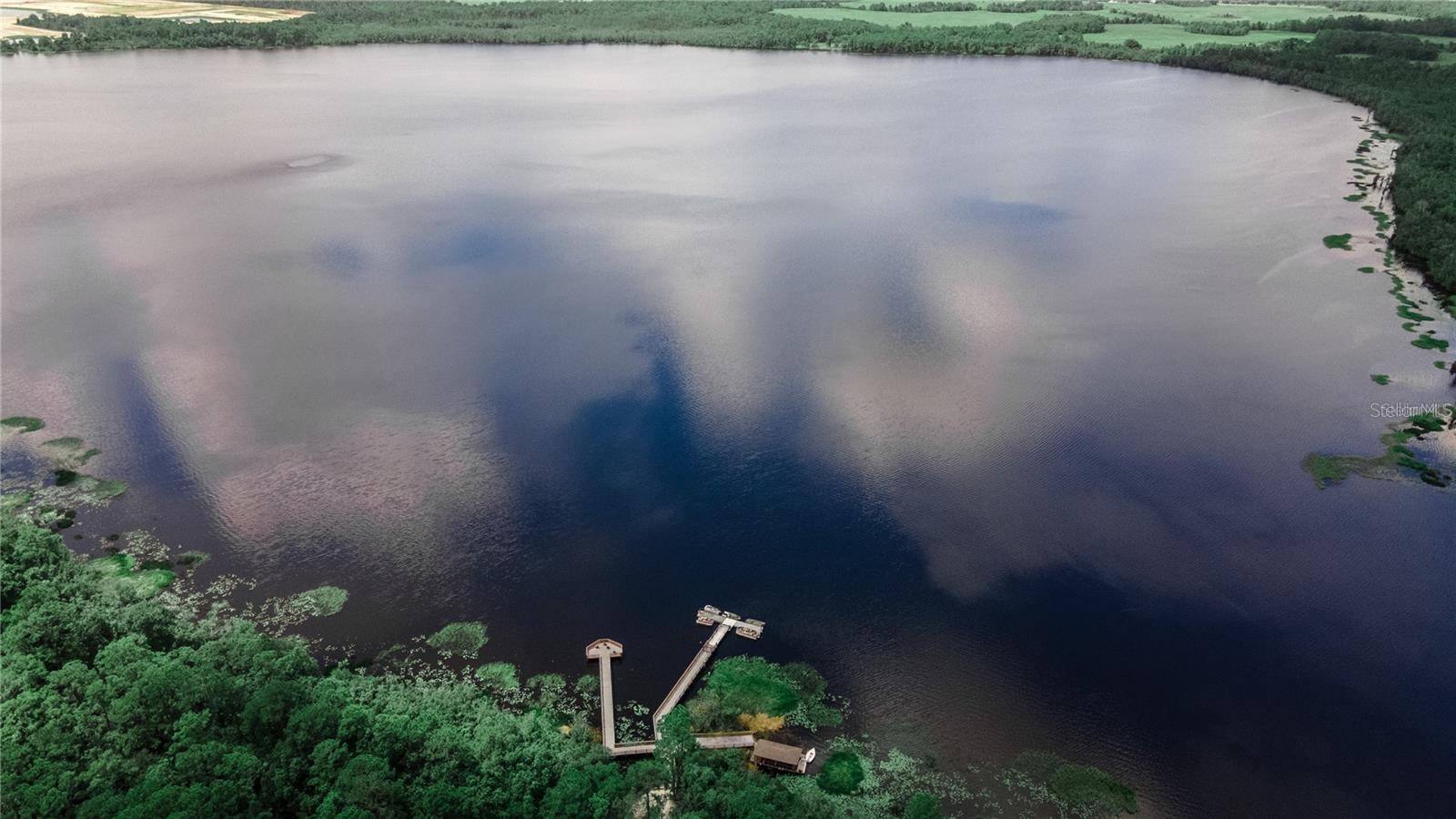 3313 BRACKEN FERN DR, HARMONY, FL, 34773