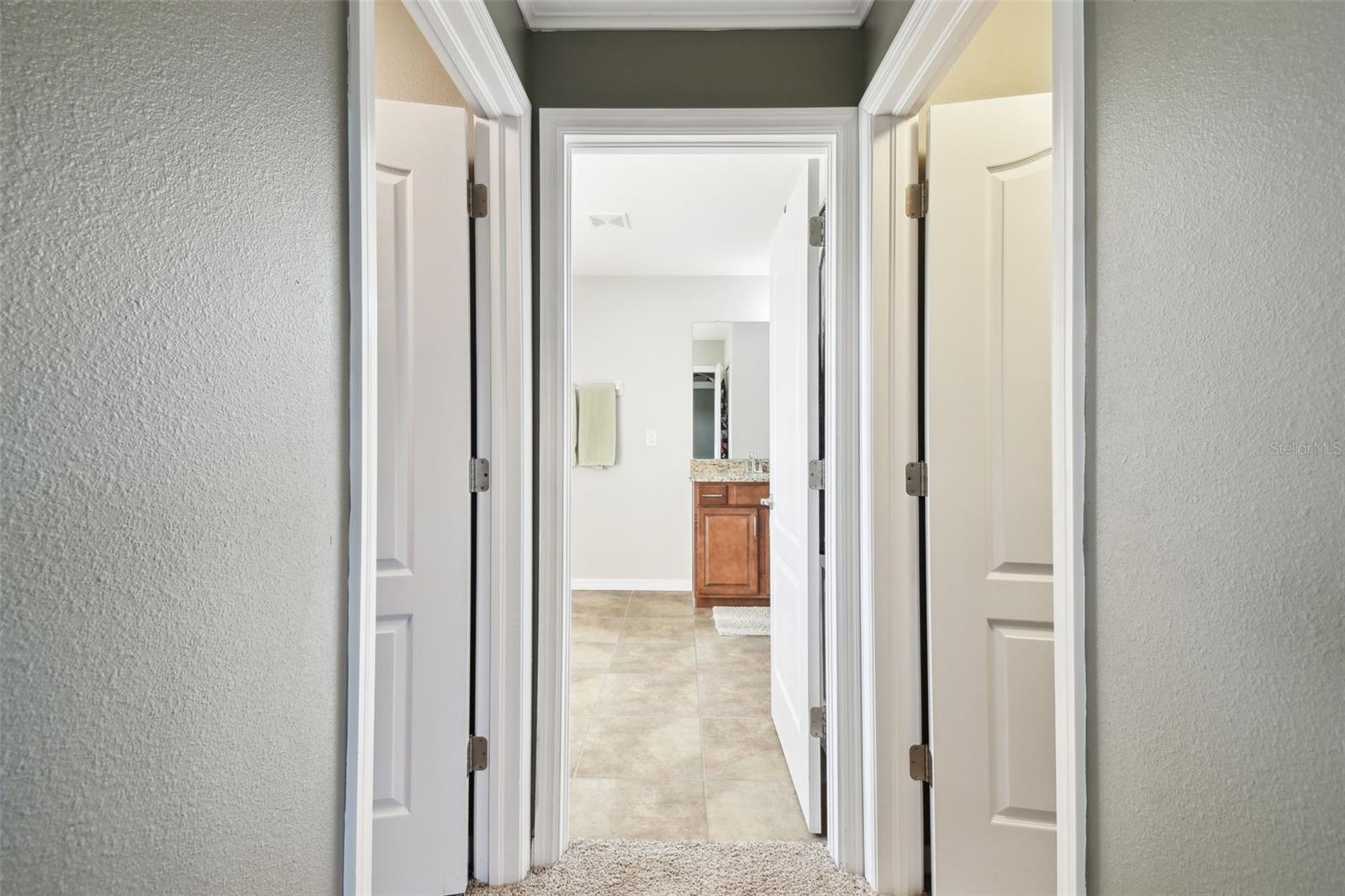 23958 TERRACINA CT, LAND O LAKES, FL, 34639