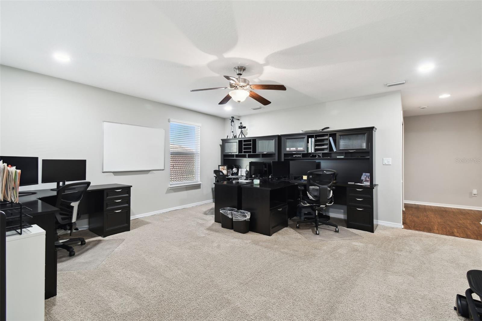 23958 TERRACINA CT, LAND O LAKES, FL, 34639