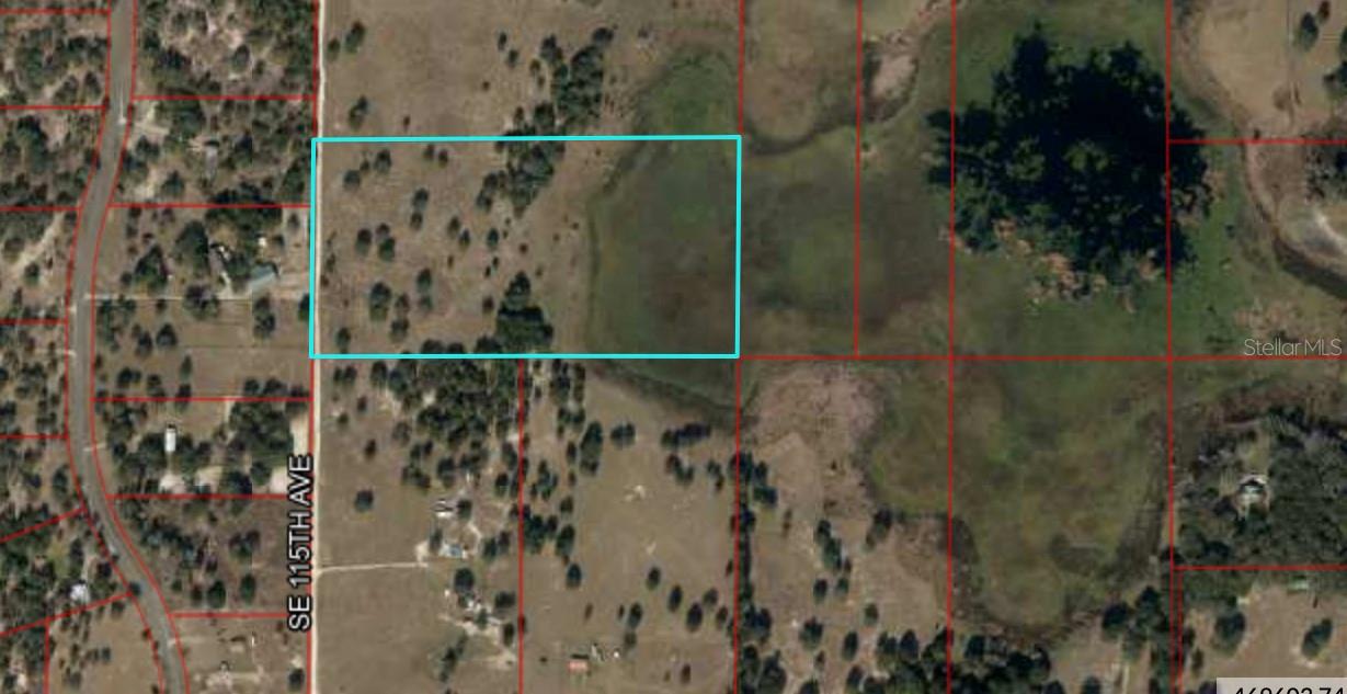 2731 SE 115TH AVE, MORRISTON, FL, 32668