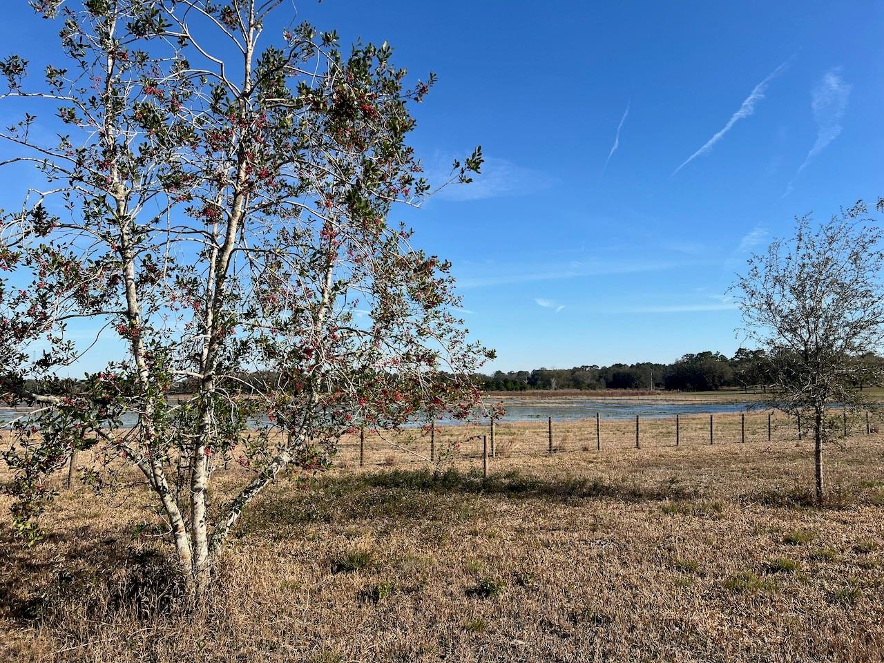 2731 SE 115TH AVE, MORRISTON, FL, 32668