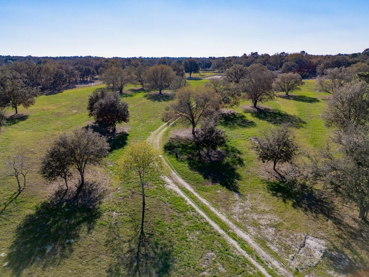 2731 SE 115TH AVE, MORRISTON, FL, 32668