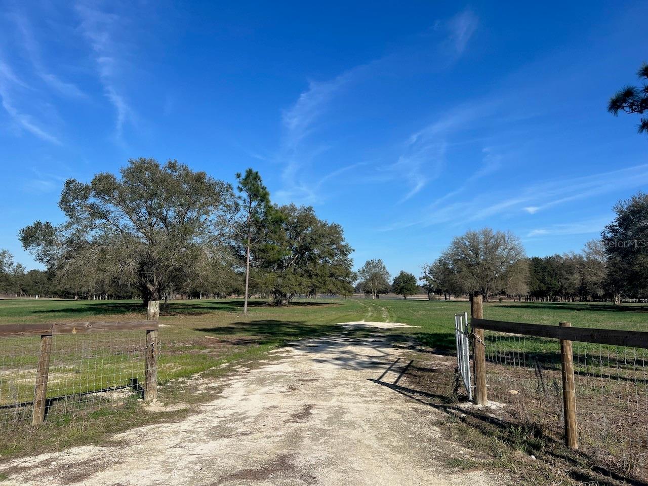 2731 SE 115TH AVE, MORRISTON, FL, 32668