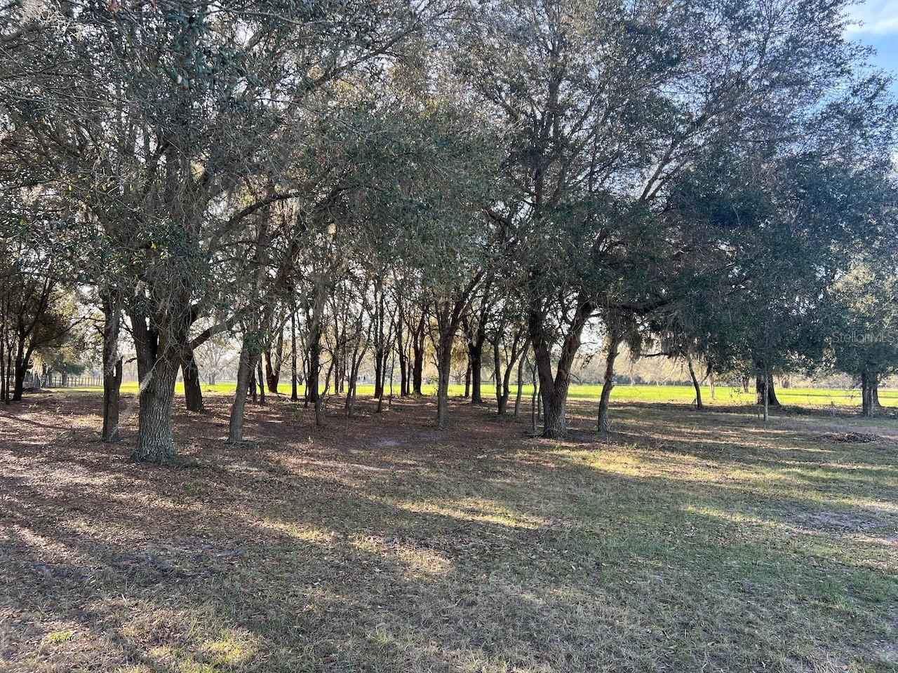 2731 SE 115TH AVE, MORRISTON, FL, 32668