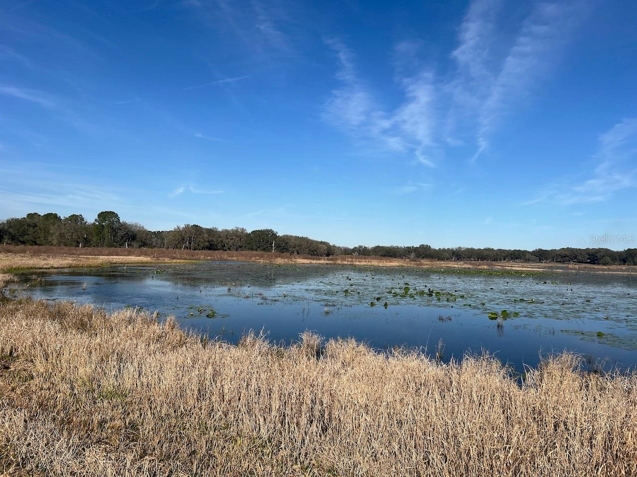 2731 SE 115TH AVE, MORRISTON, FL, 32668