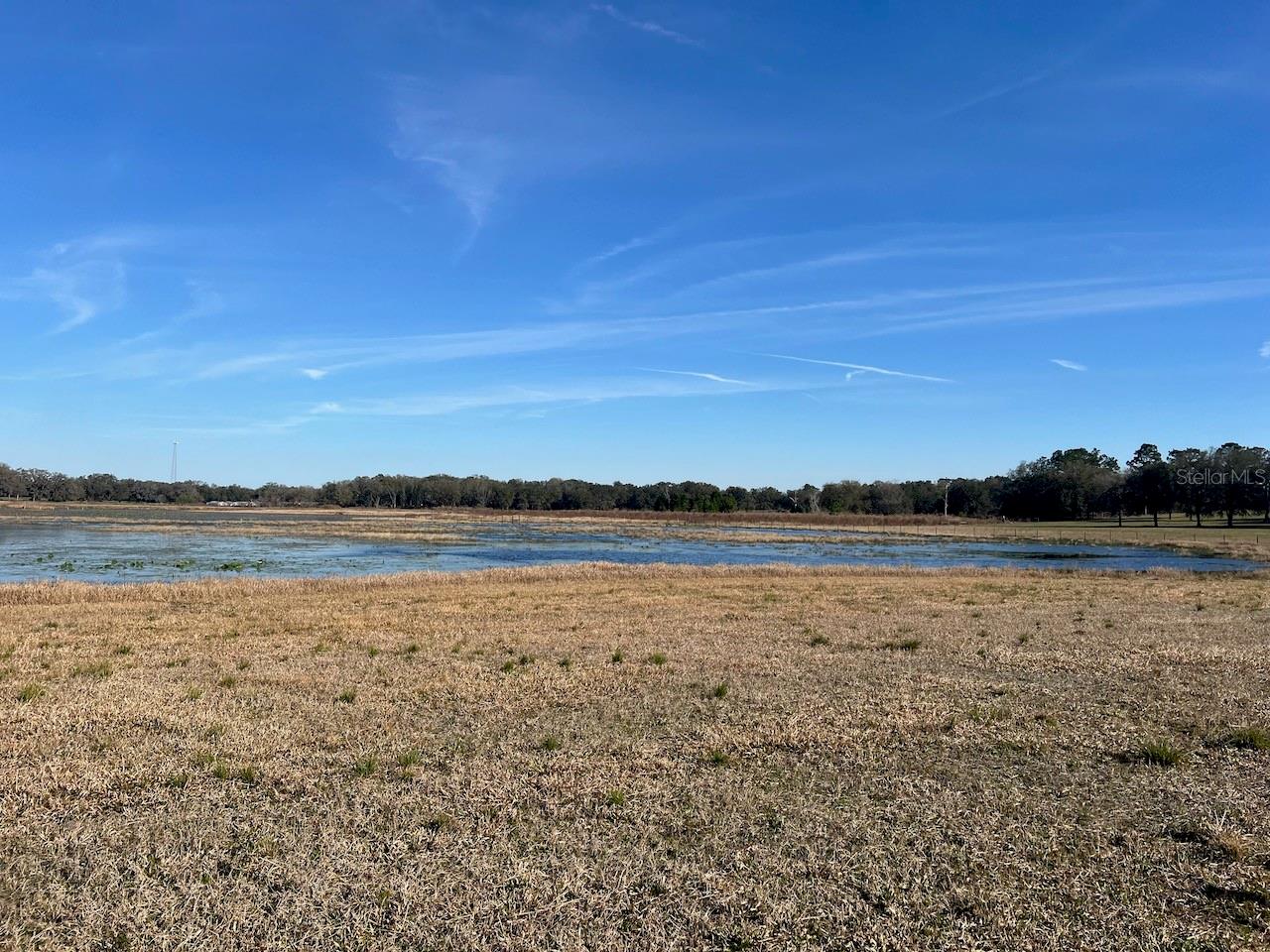 2731 SE 115TH AVE, MORRISTON, FL, 32668