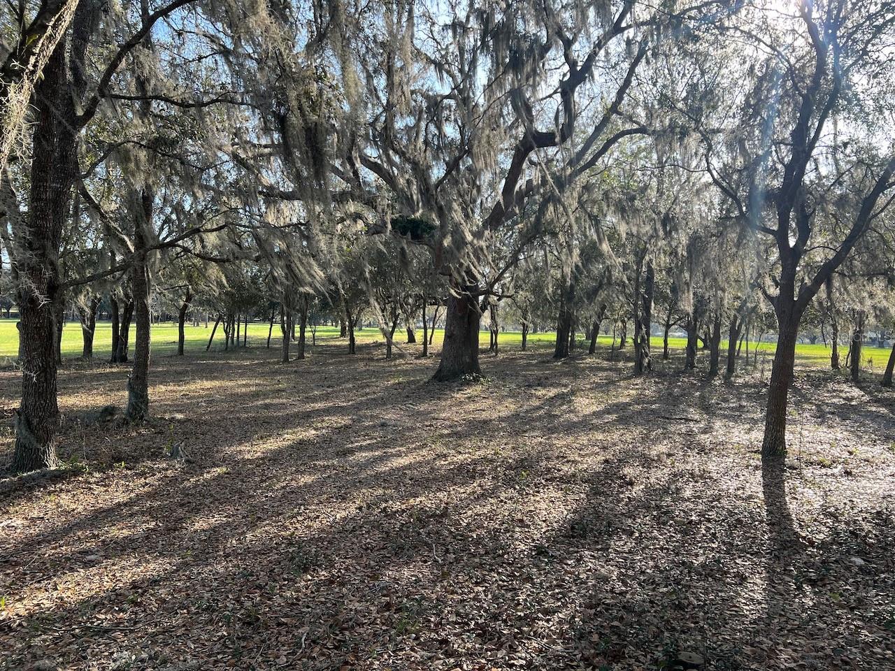 2731 SE 115TH AVE, MORRISTON, FL, 32668