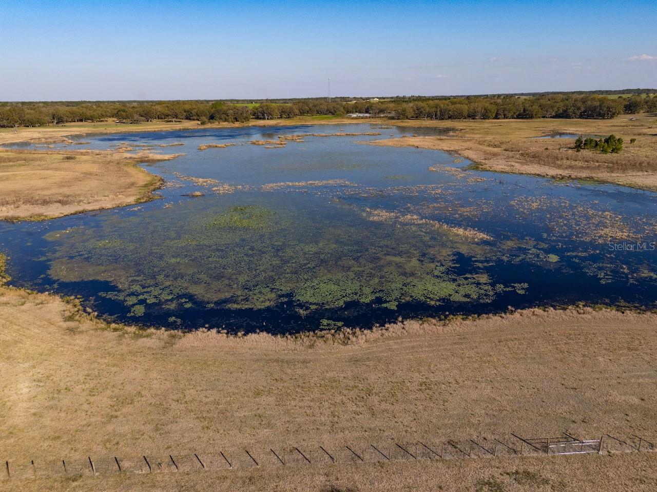 2731 SE 115TH AVE, MORRISTON, FL, 32668