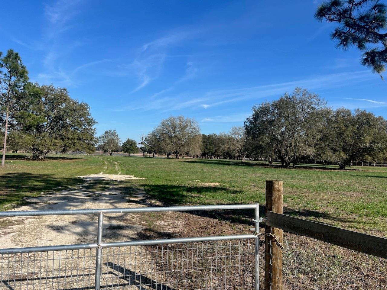 2731 SE 115TH AVE, MORRISTON, FL, 32668