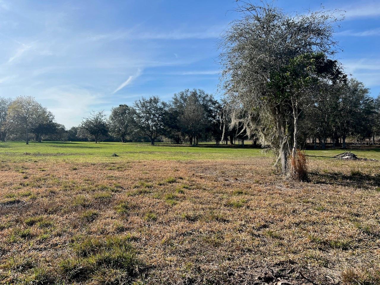 2731 SE 115TH AVE, MORRISTON, FL, 32668