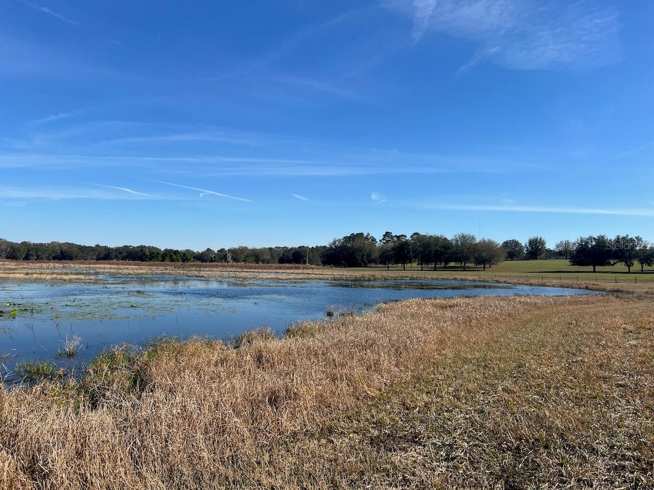 2731 SE 115TH AVE, MORRISTON, FL, 32668