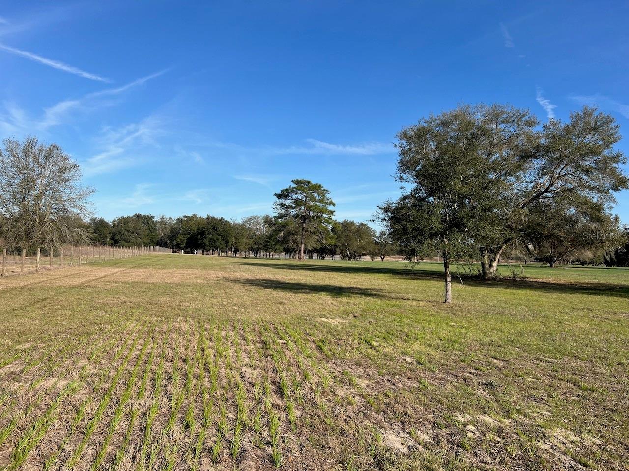 2731 SE 115TH AVE, MORRISTON, FL, 32668